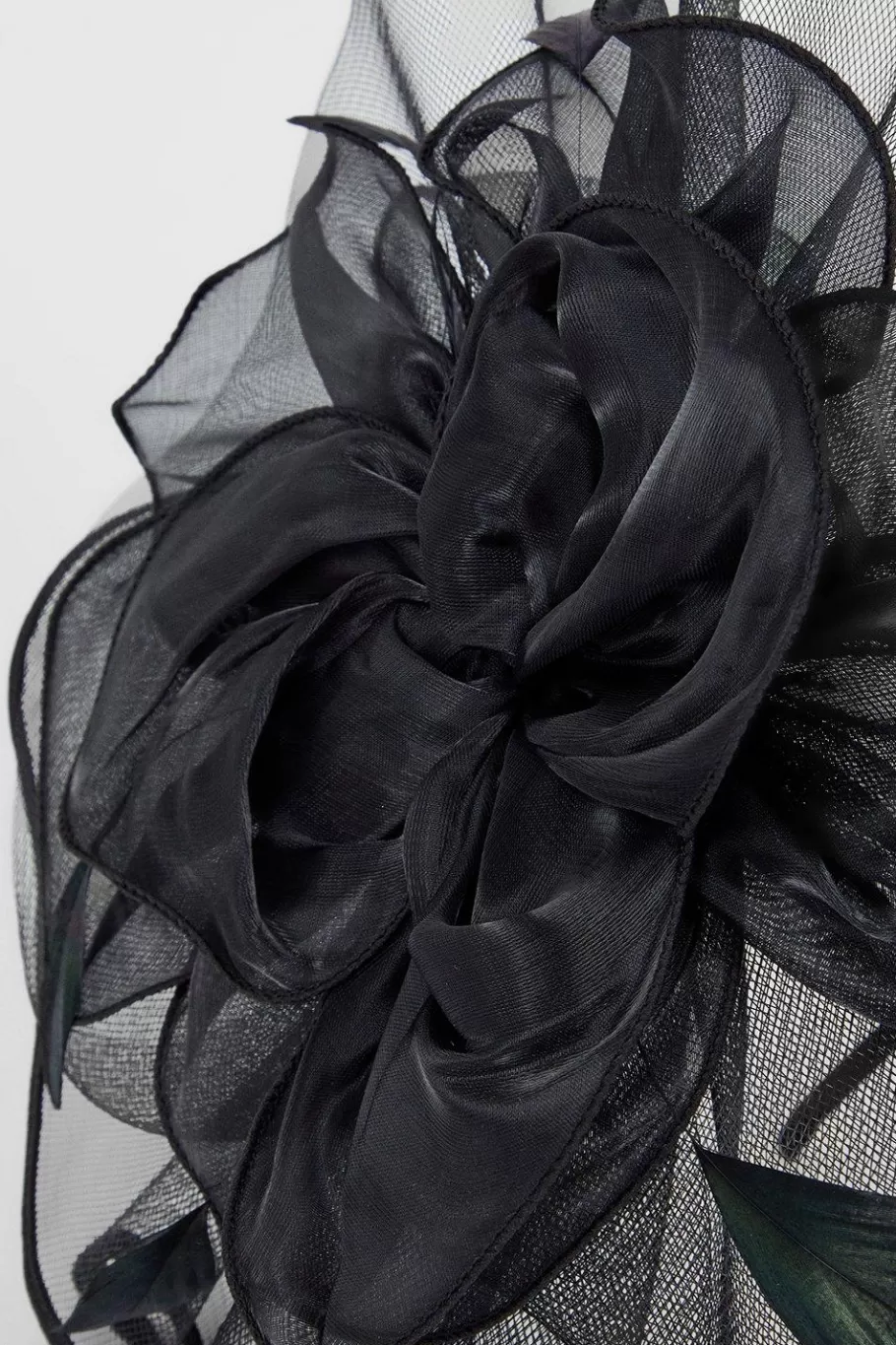 Oasis Large Flower And Feather Fascinator Black Cheap